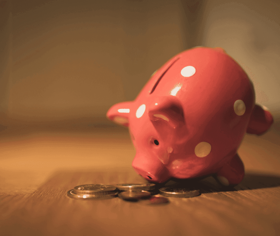 pig2